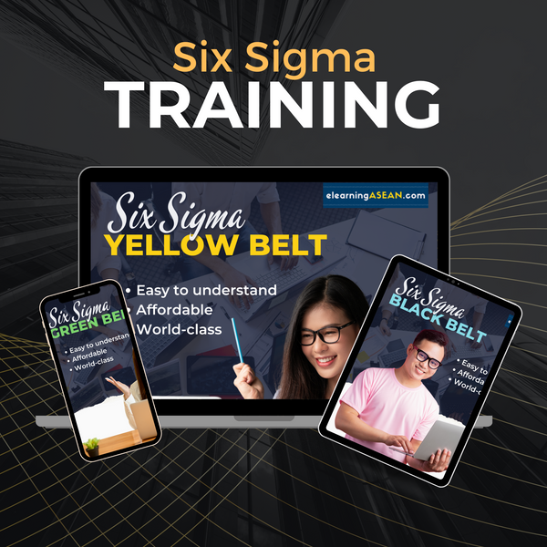 Six Sigma Programs